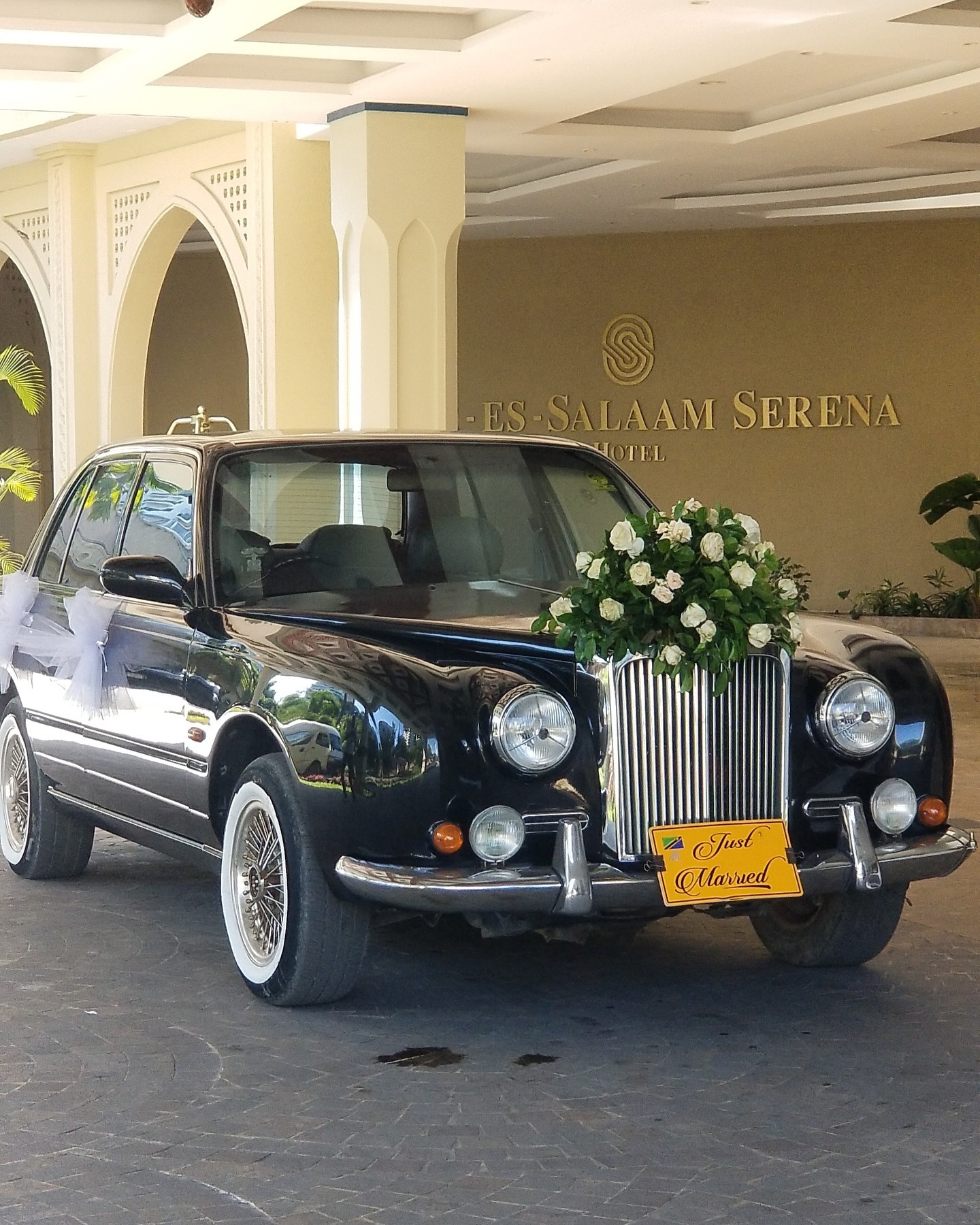 Just Married — Serena